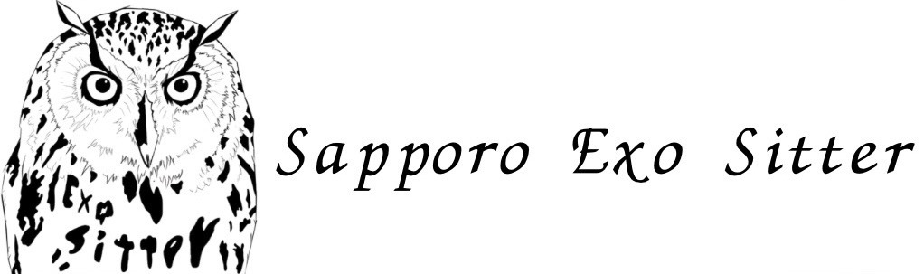 Sapporo Exo Sitter